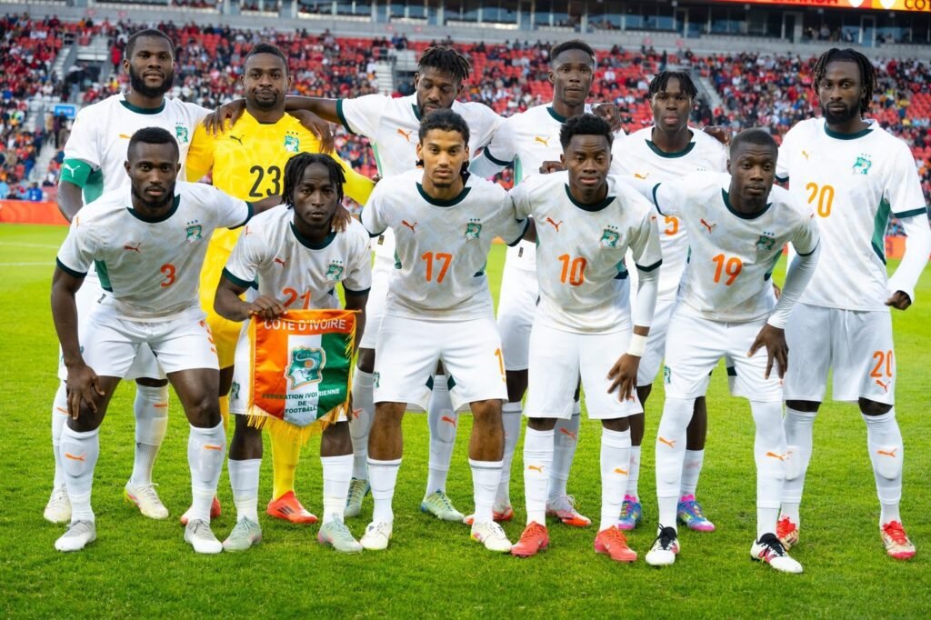 Les élephants de Côte d'Ivoire
