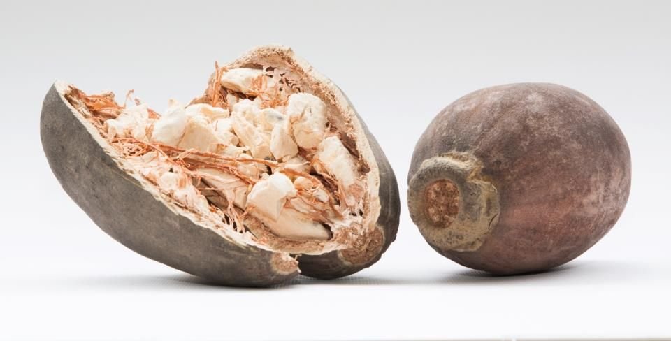 Bienfaits du baobab et fruit de baobab