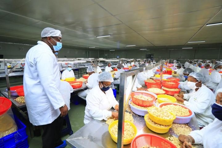 Les jeunes applicateurs phytosanitaires en formation à Yamoussoukro